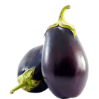 brinjal
