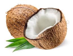 Coconut 1 pcs