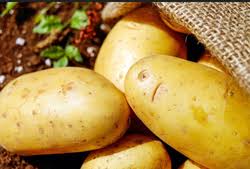 Potato 1kg
